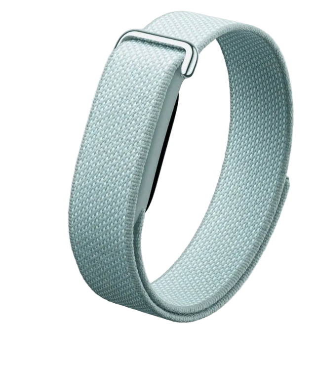 Google Fitbit Air Classic "Fog"