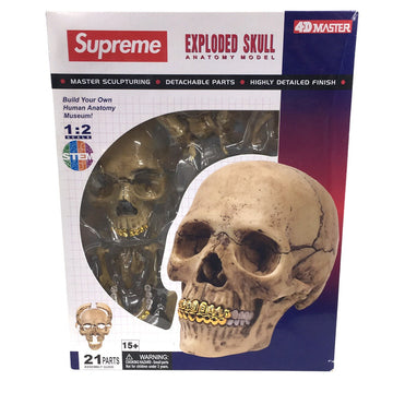 Supreme 4D Master Exploded Skull Anatomy Model (FW24) - Pre-owned