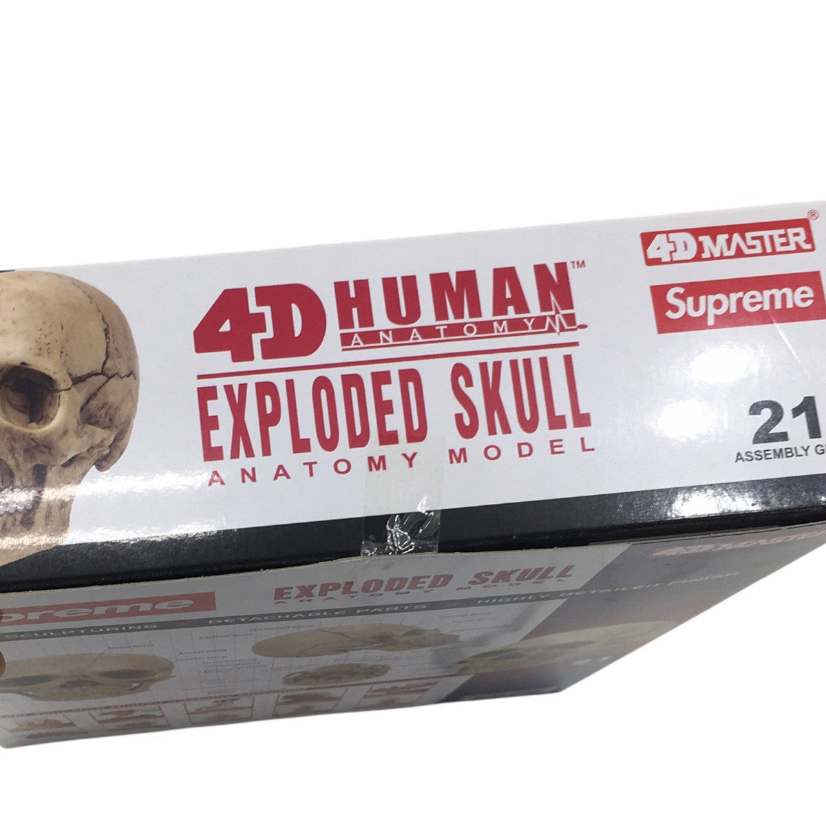 Supreme 4D Master Exploded Skull Anatomy Model (FW24) - Pre-owned
