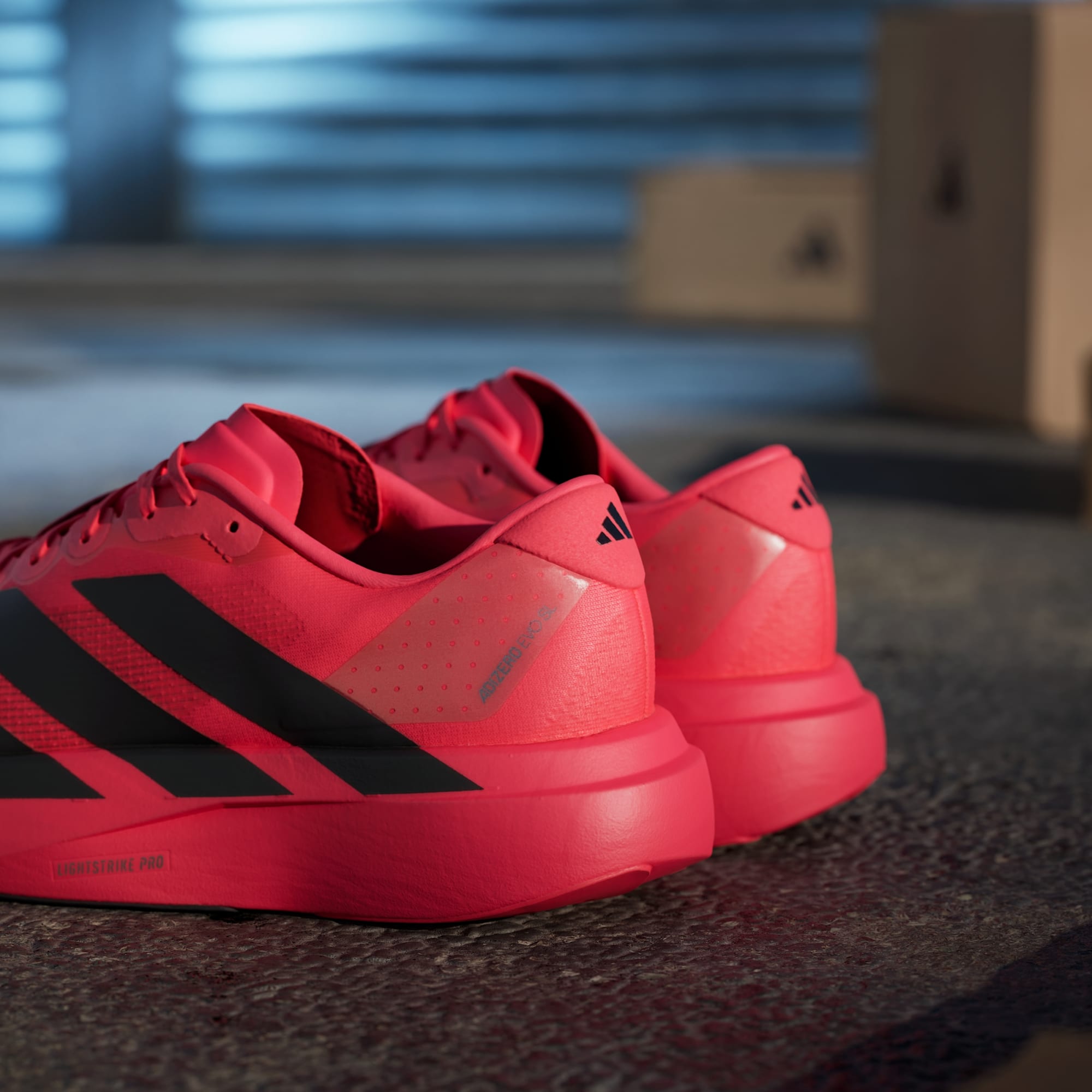 Adidas Adizero Evo SL running shoes in Lucid Red Core Black