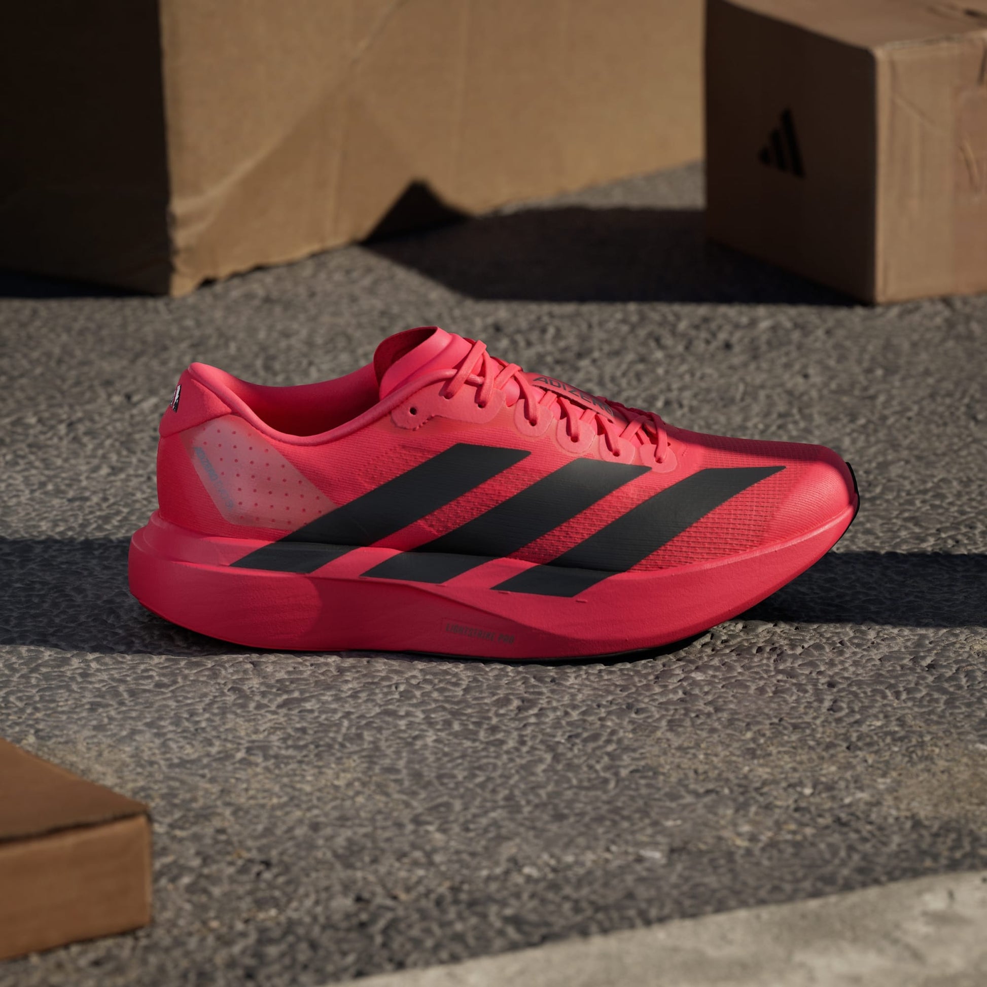 Adidas Adizero Evo SL running shoes in Lucid Red Core Black
