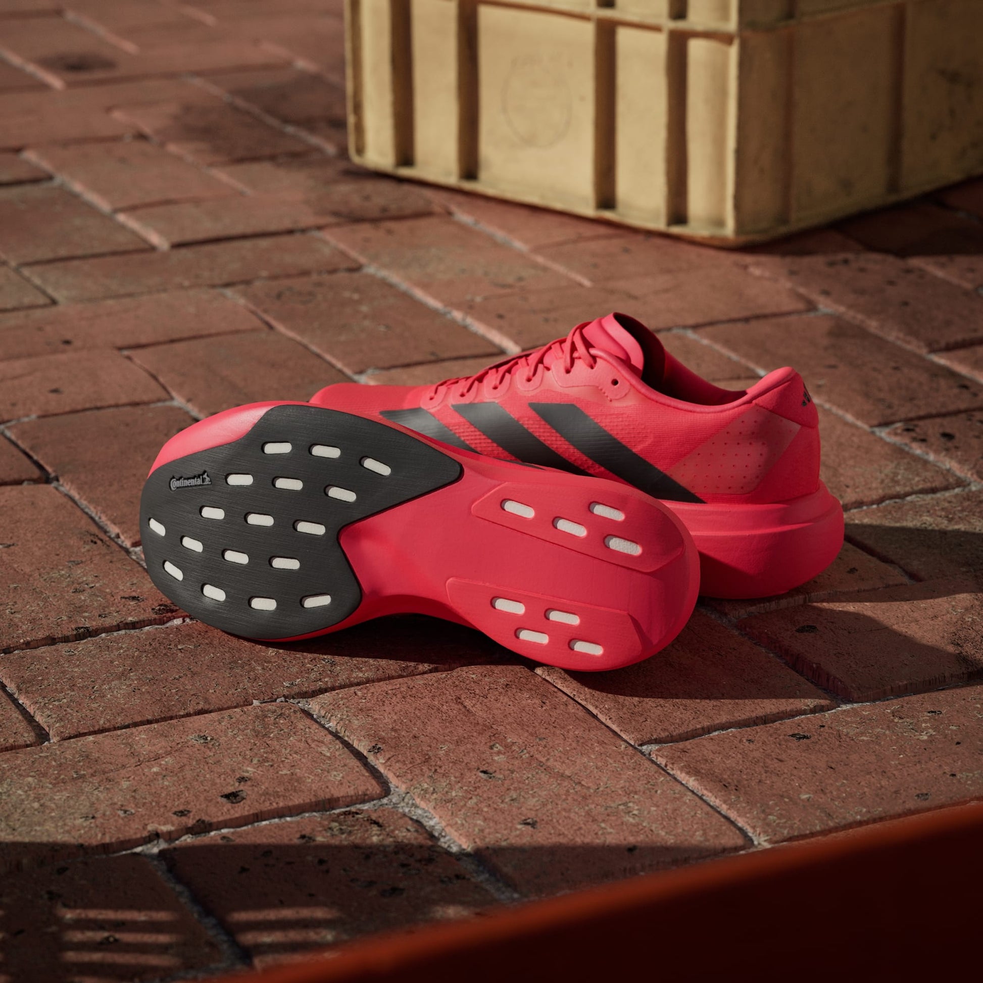 Adidas Adizero Evo SL running shoes in Lucid Red Core Black