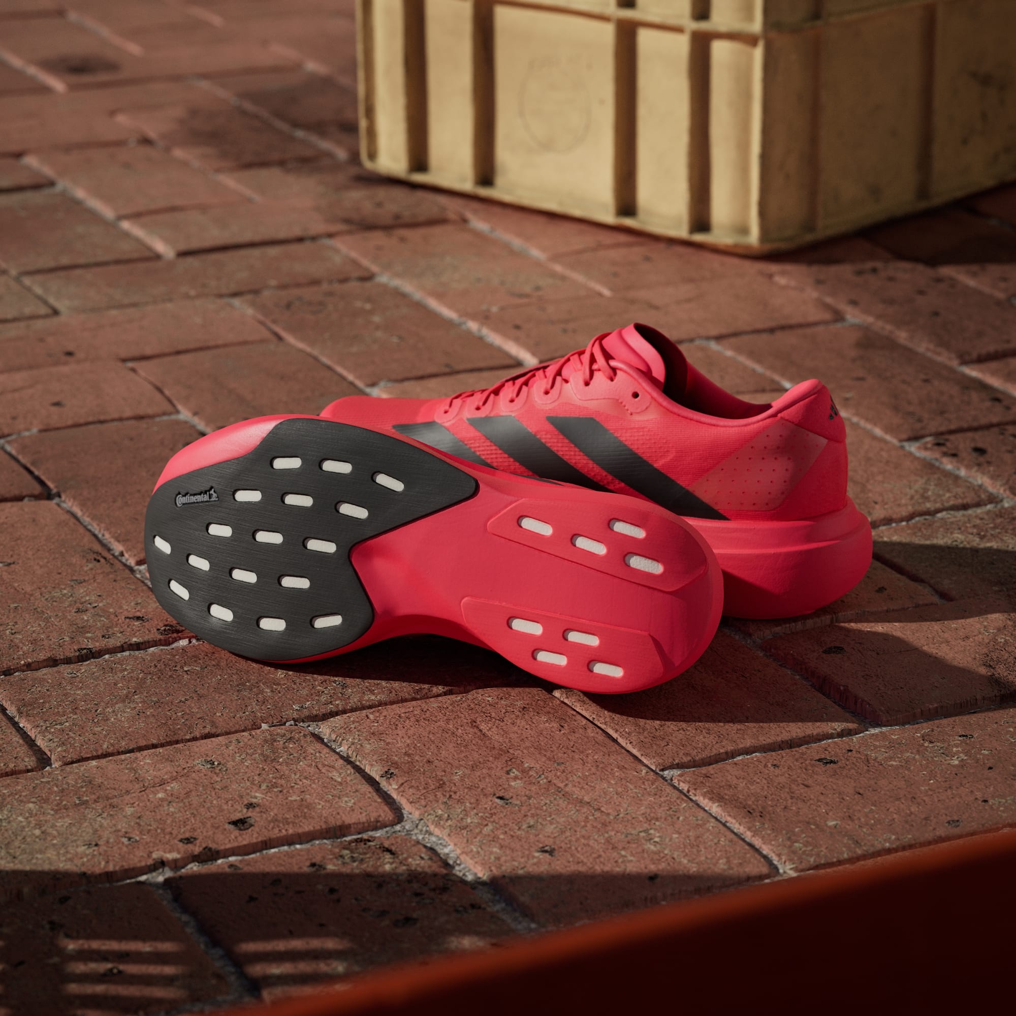 Adidas Adizero Evo SL running shoes in Lucid Red Core Black