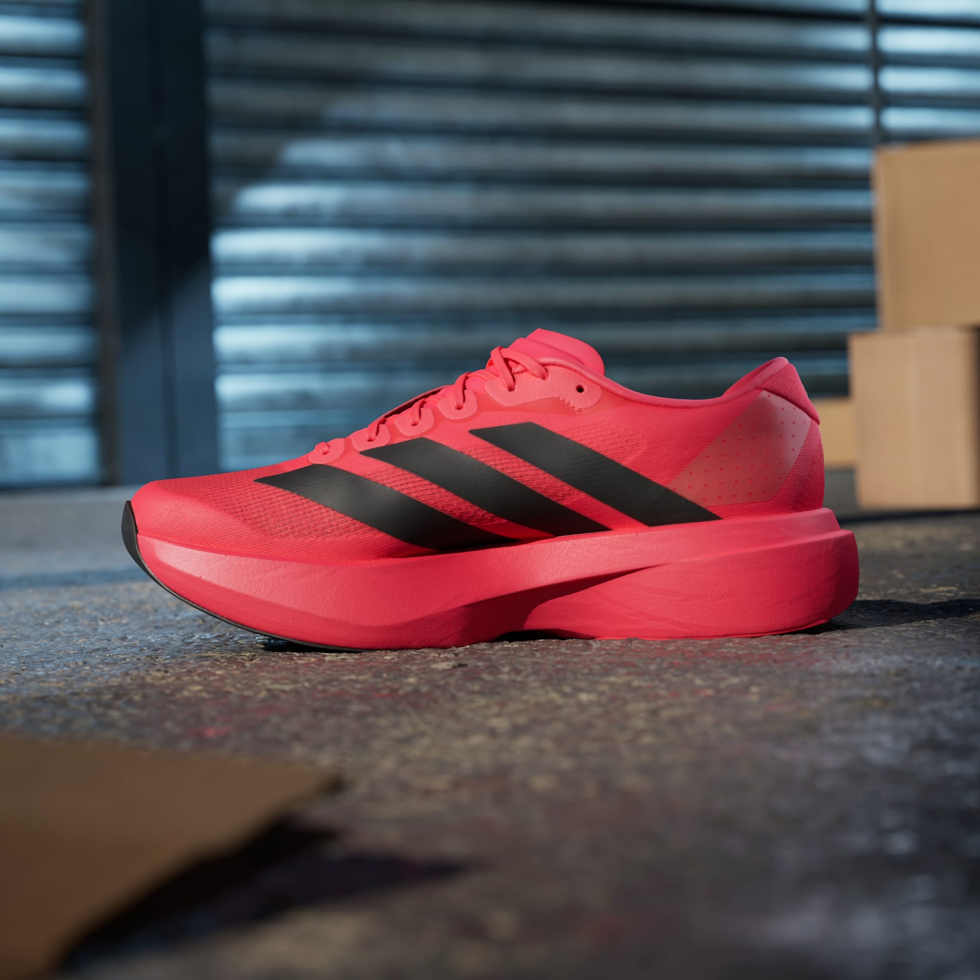 Adidas Adizero Evo SL running shoes in Lucid Red Core Black