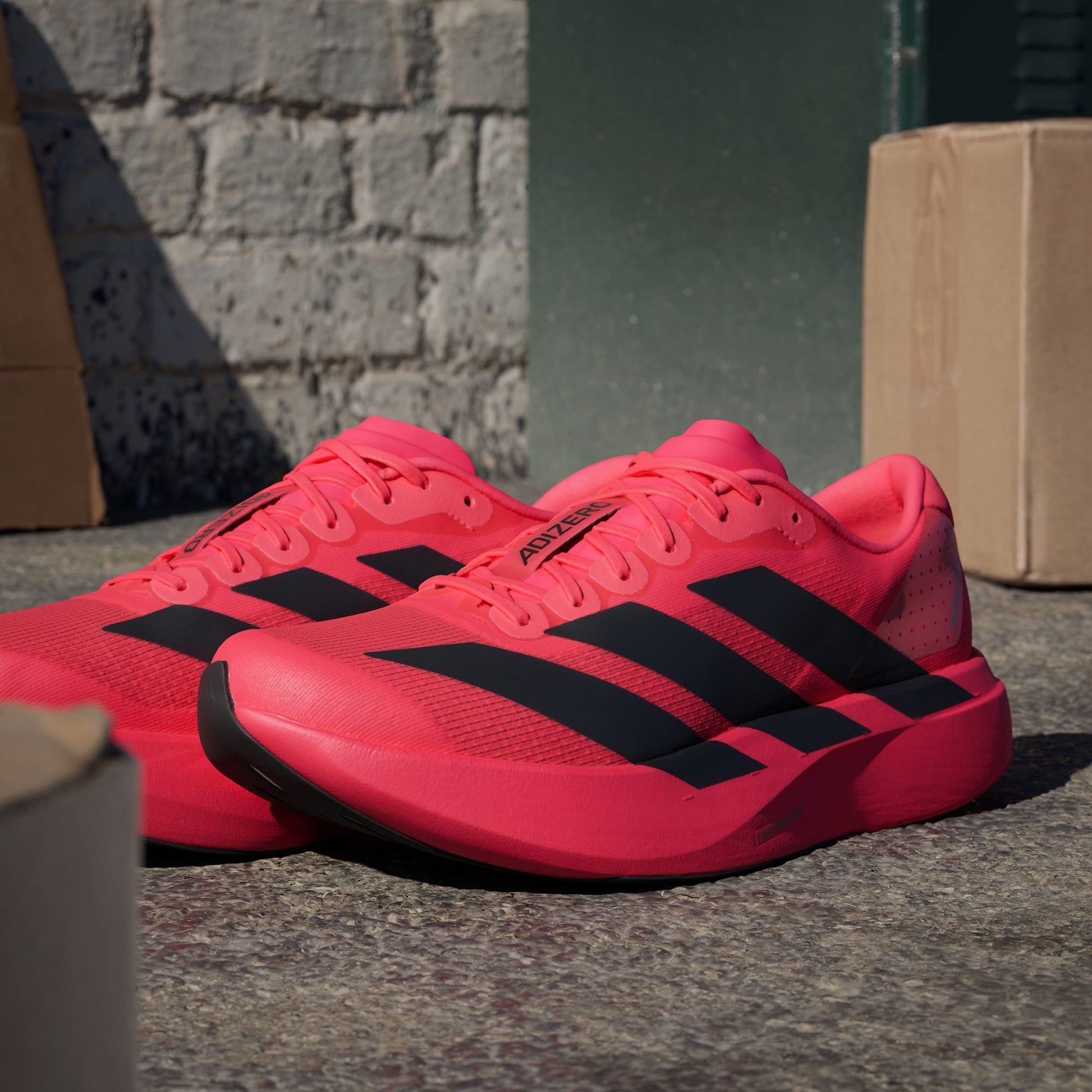 Adidas Adizero Evo SL running shoes in Lucid Red Core Black
