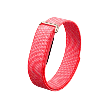 Google Fitbit Air Classic "Berry"