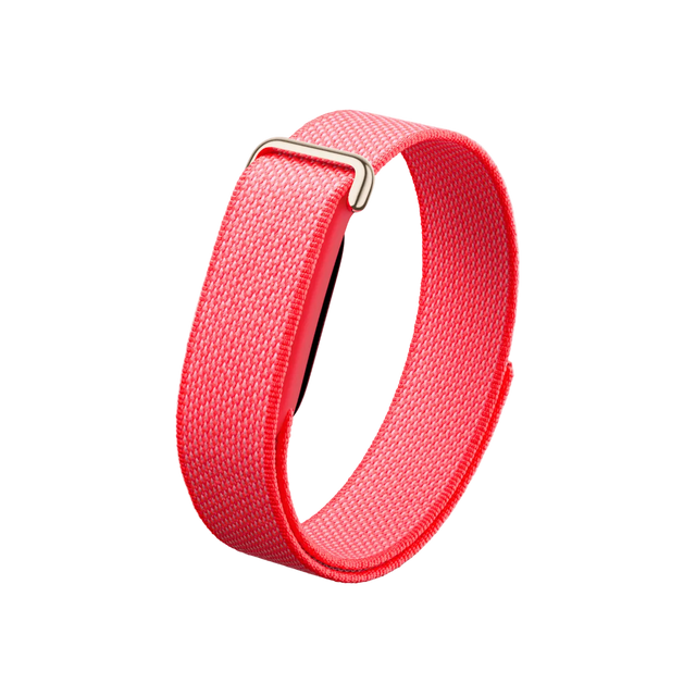 Google Fitbit Air Classic "Berry"