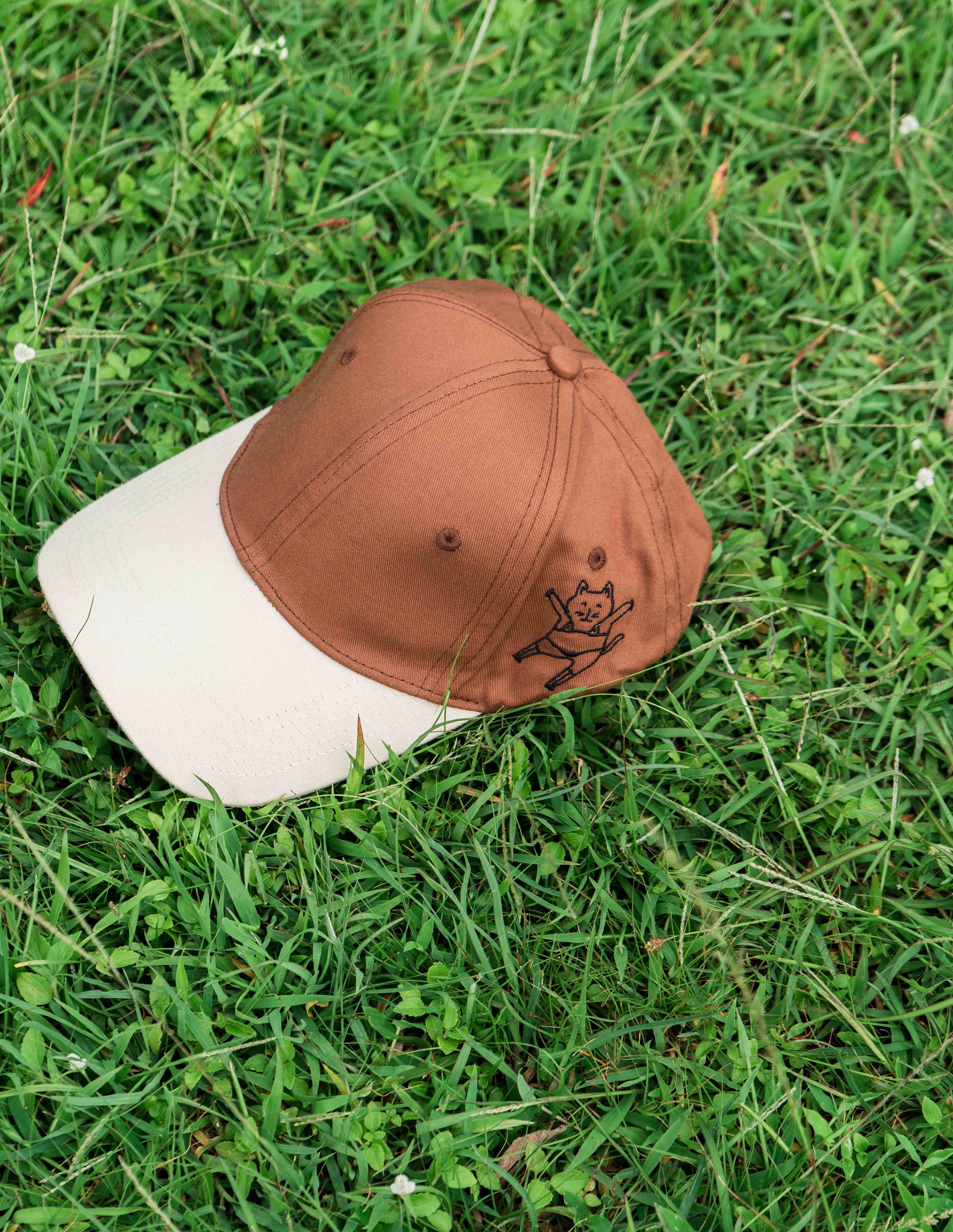 Brown & Beige Cap