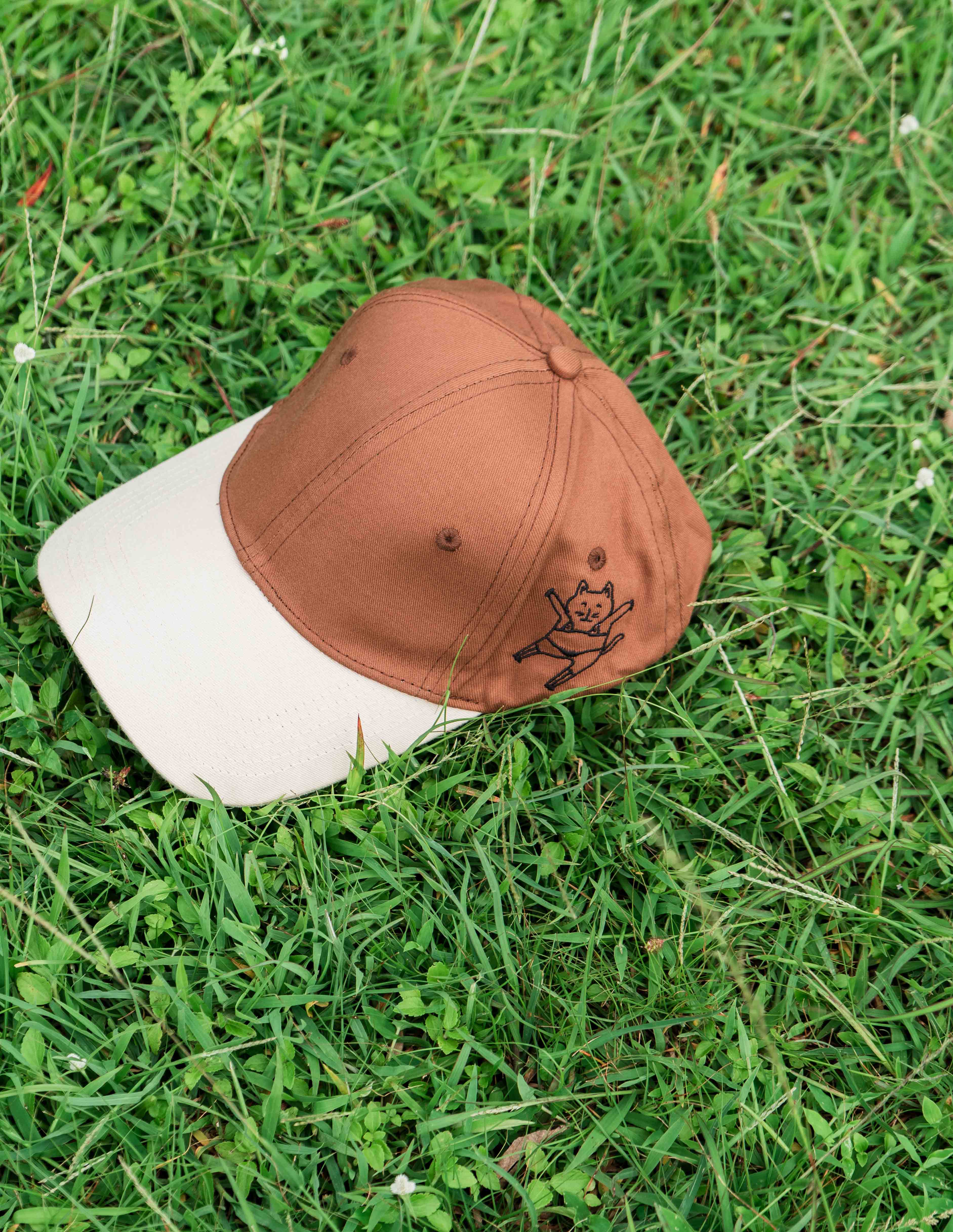 Brown & Beige Cap