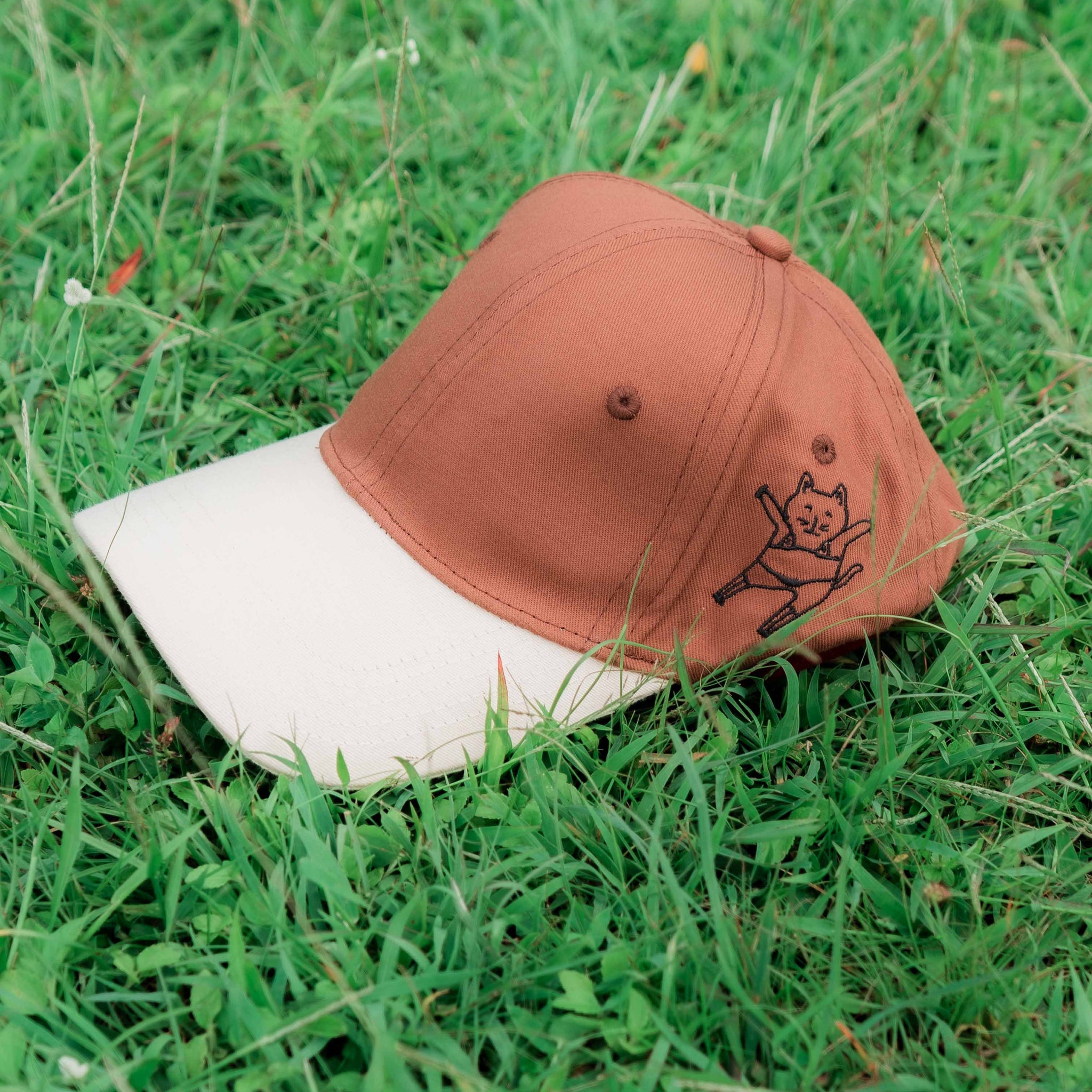 Brown & Beige Cap