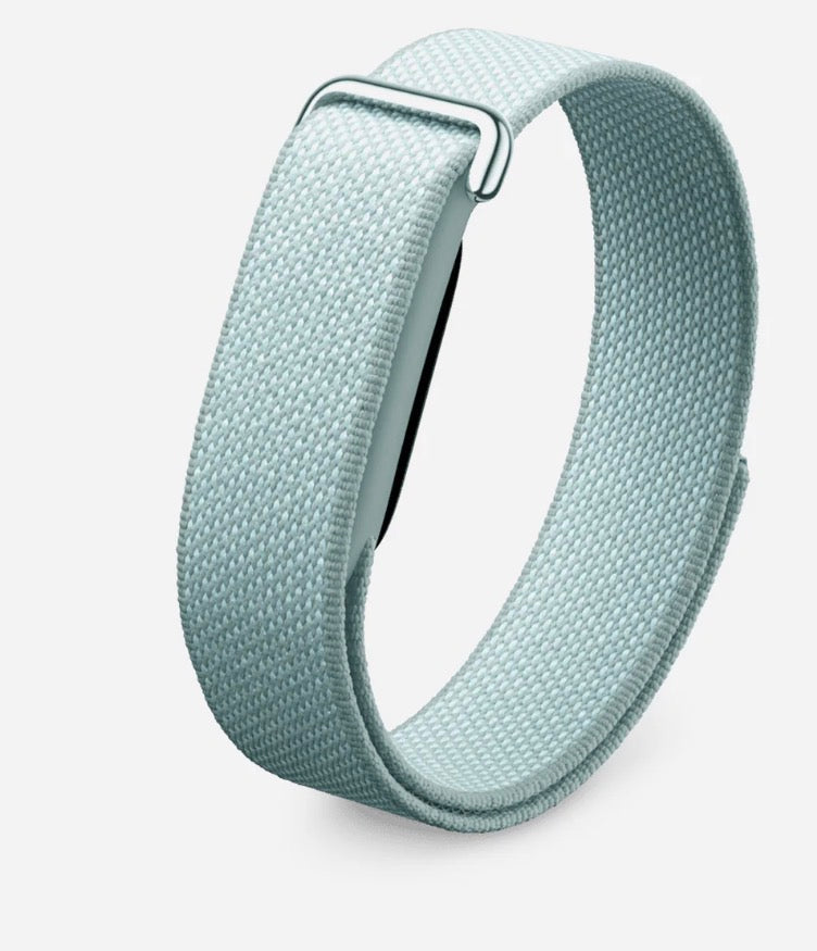 Google Fitbit Air Classic "Fog"