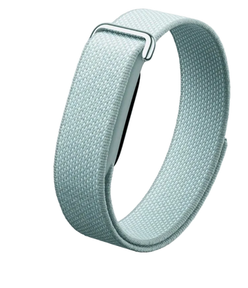 Google Fitbit Air Classic "Fog"