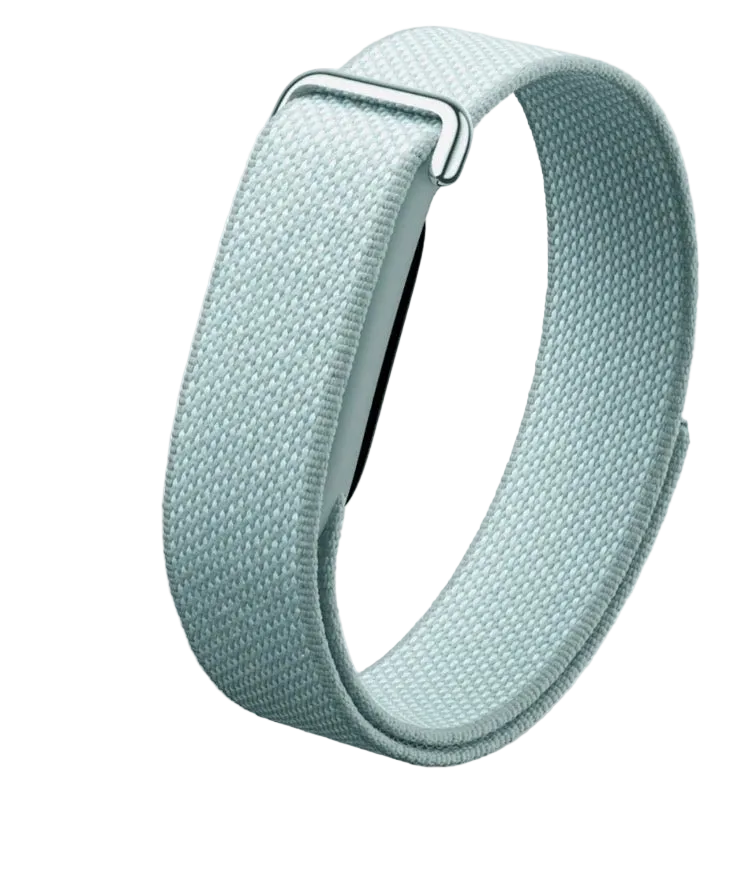 Google Fitbit Air Classic "Fog"