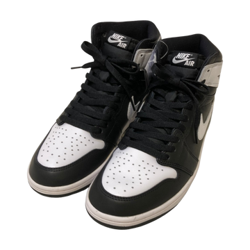 Air Jordan 1 Retro High OG DZ5485-010