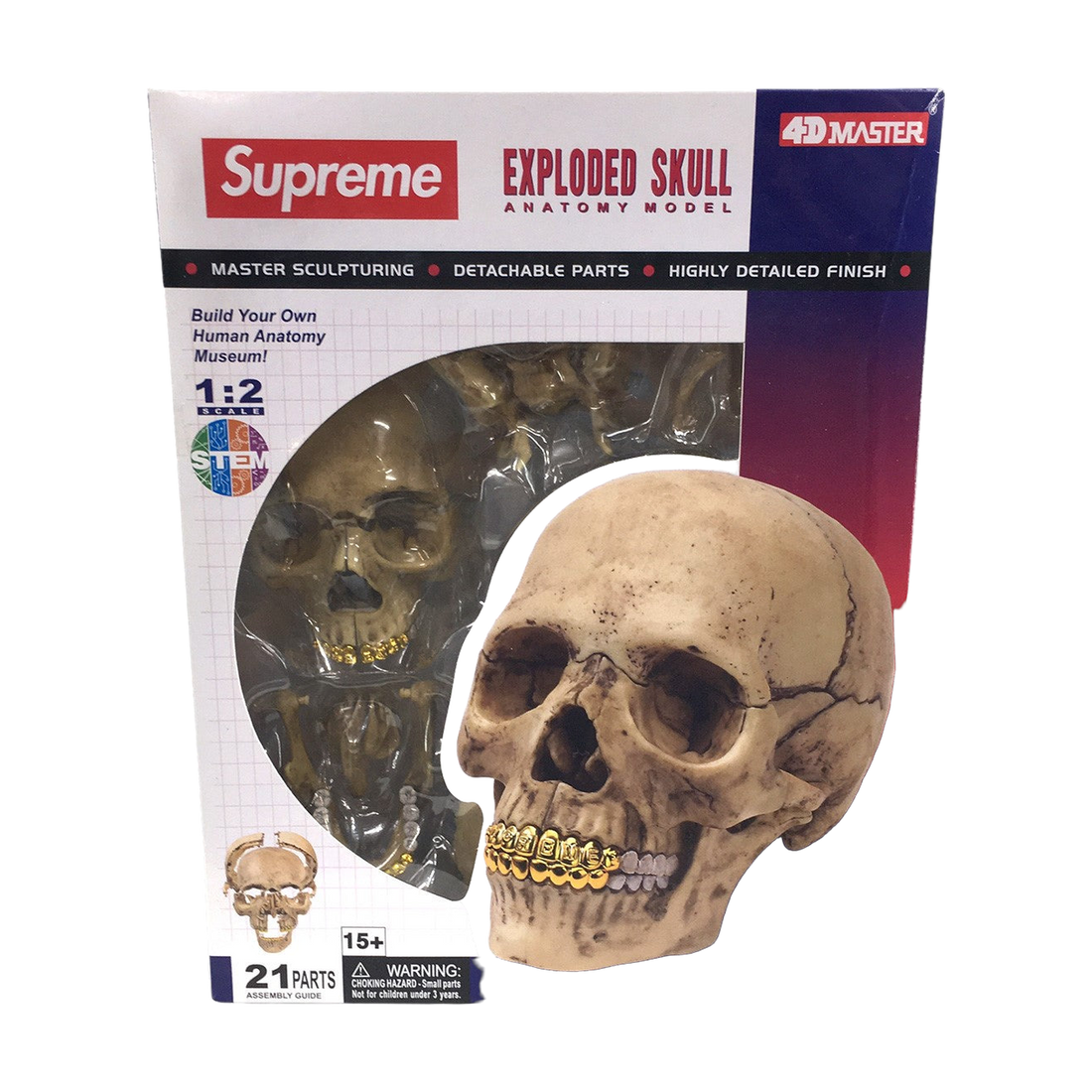 Supreme 4D Master Exploded Skull Anatomy Model (FW24) - Pre-owned